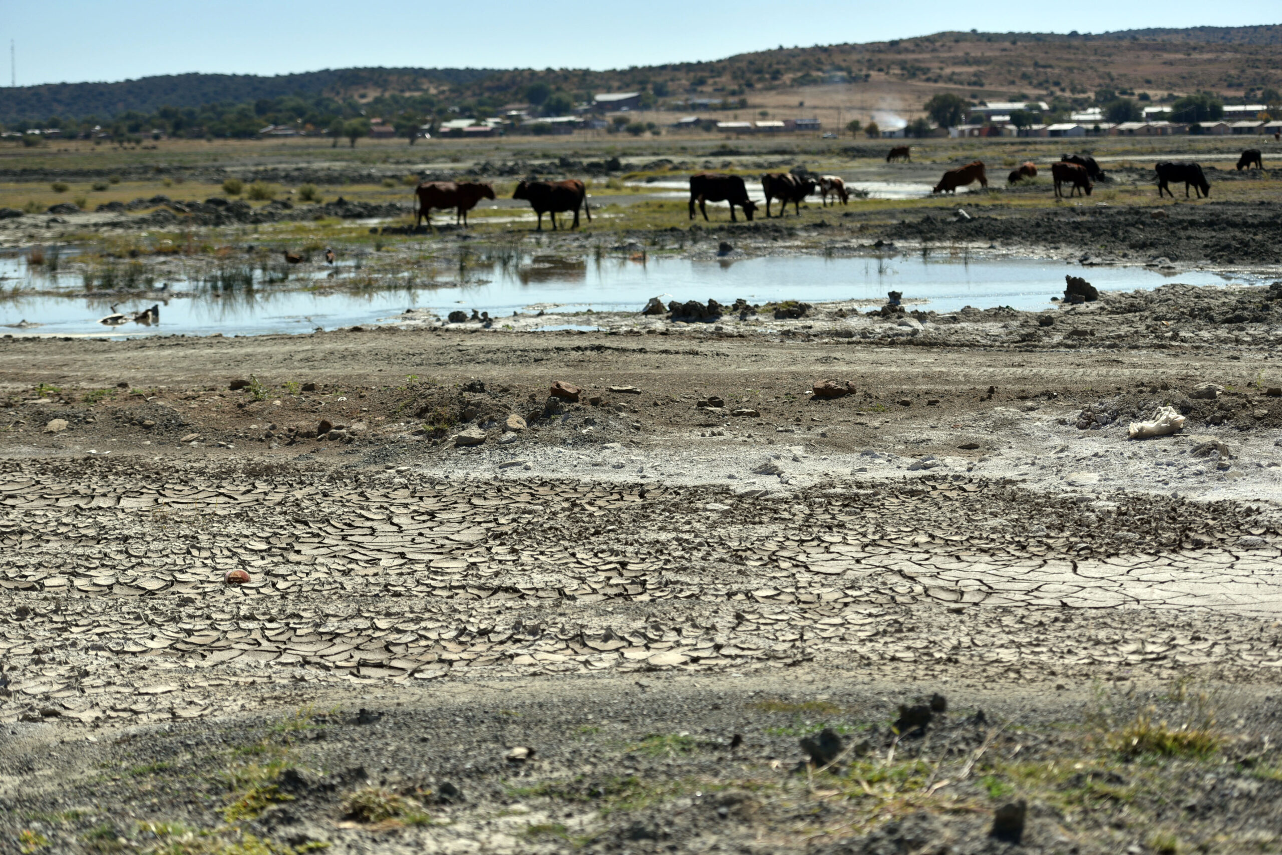 202304jagersfontein08-scaled-1