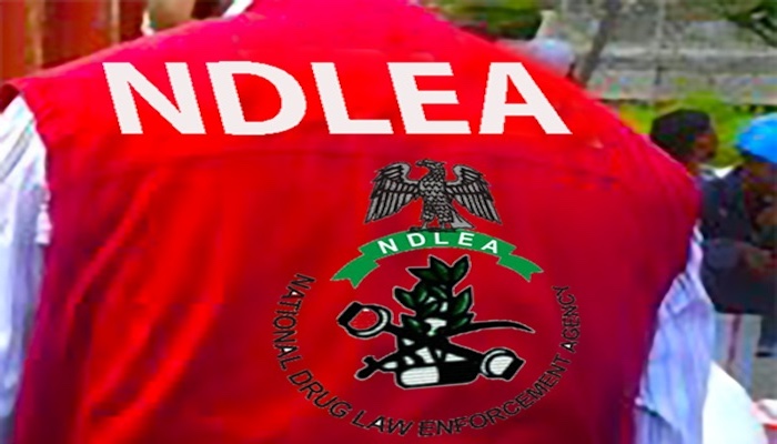 202406NDLEA