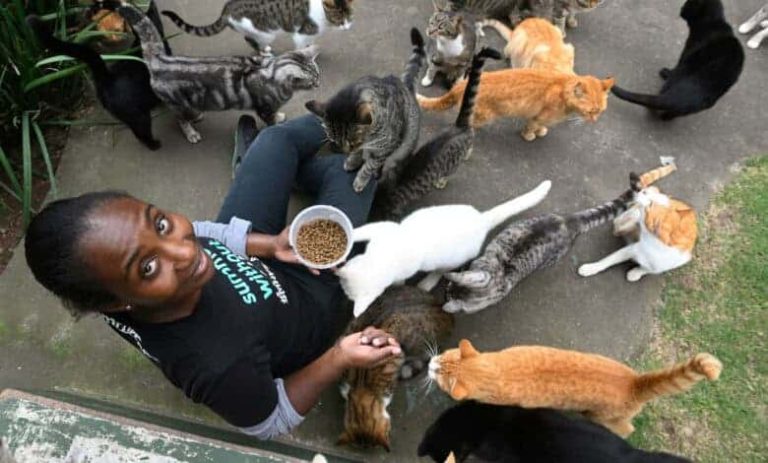 202509Animal-Anti-Cruelty-League-urgently-appeals-for-help-to-keep-doors-open