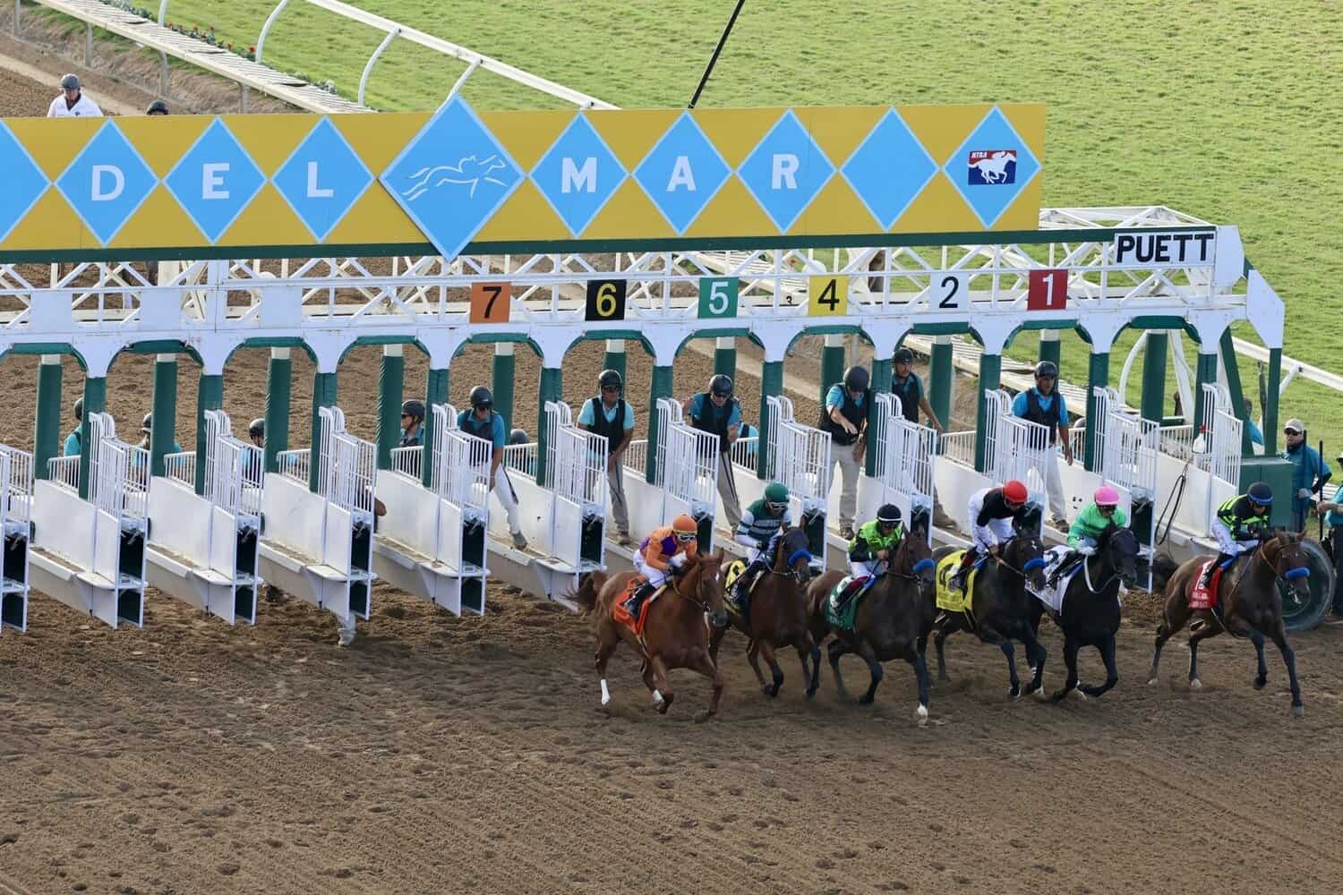 California Dreamin Stakes