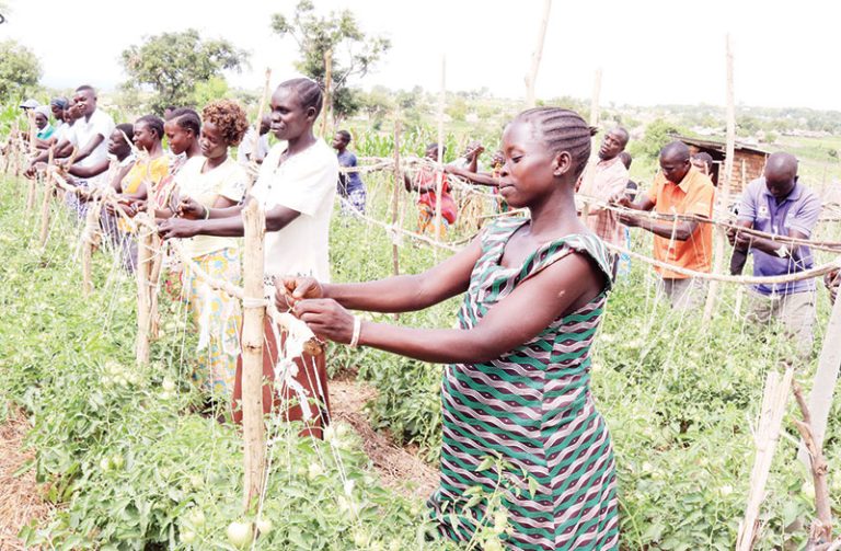 202509Farmers-in-West-Nile