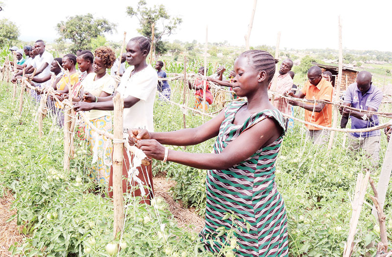 202509Farmers-in-West-Nile