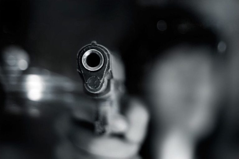 202509Firearms-give-citizens-a-fighting-chance-Gun-Owners-SA