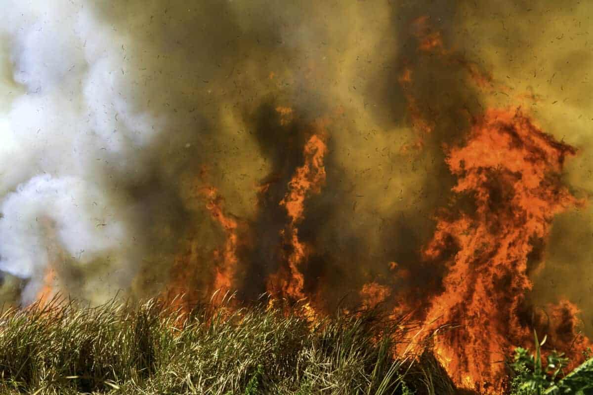 202509First-rain-needed-to-ease-fires