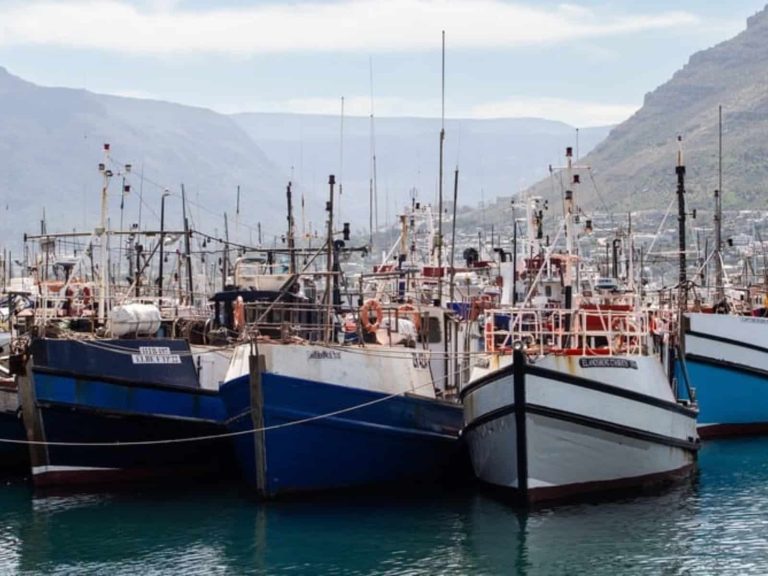 202509Fishing-