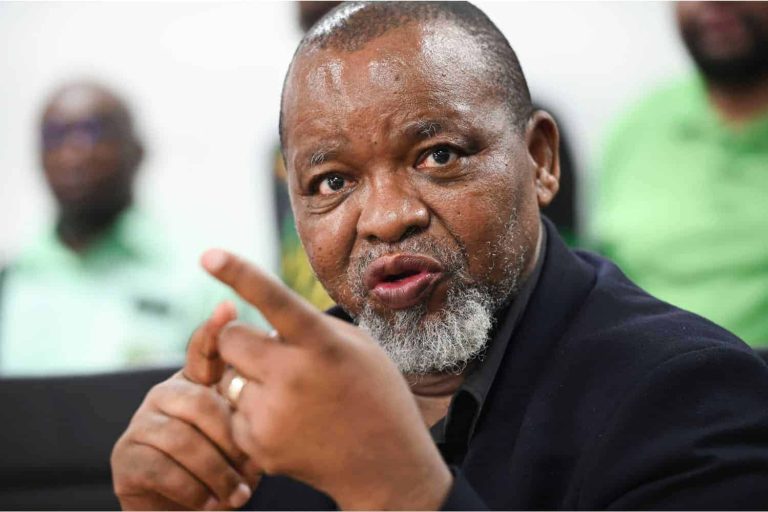 202509Gwede-Mantashe-ROLL-CALL