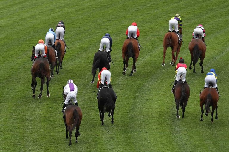 202509Horse-stock-24-September-2025