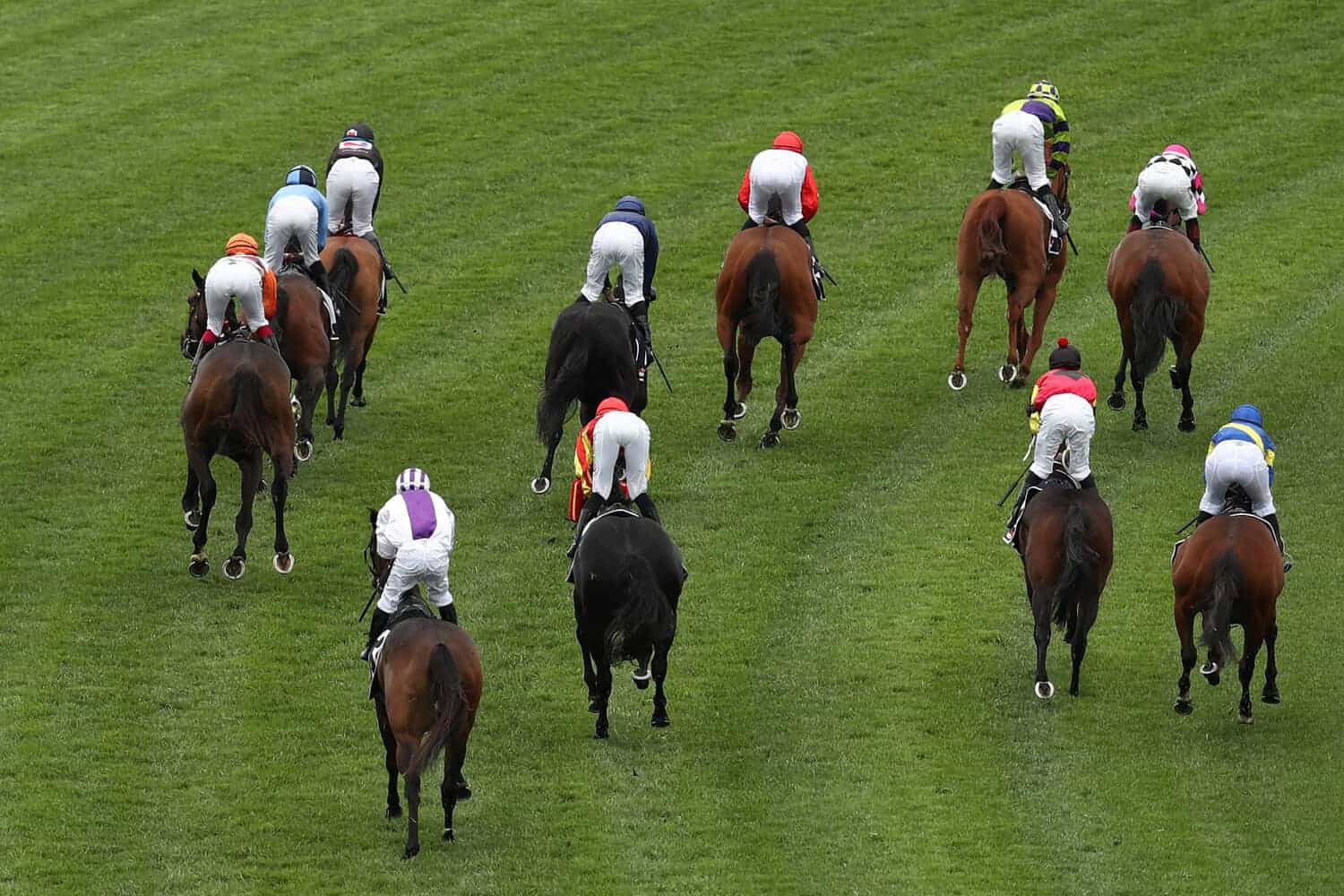 202509Horse-stock-24-September-2025