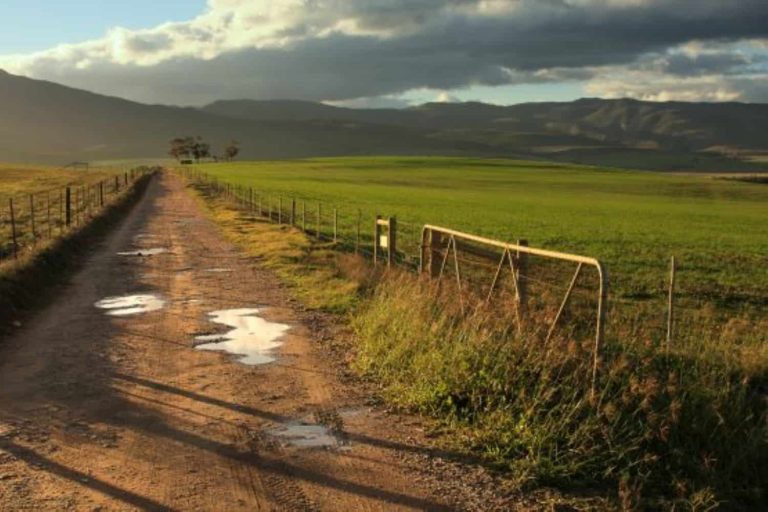 202509Land-expropriation-without-compensation