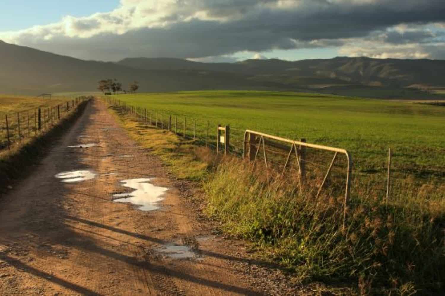 202509Land-expropriation-without-compensation