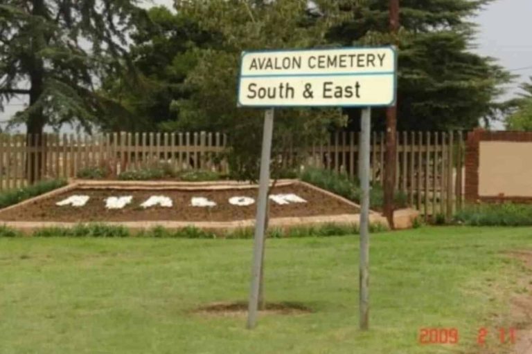 202509Lenasia-Avalon
