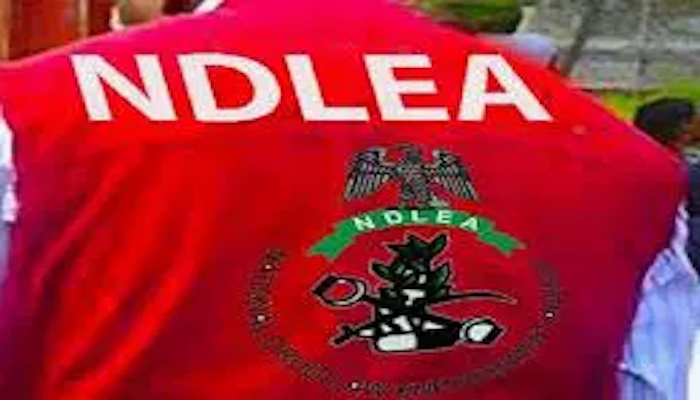 202509NDLEA