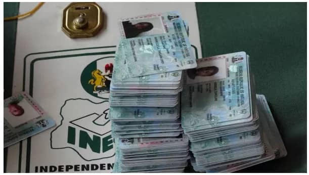 202509PVC