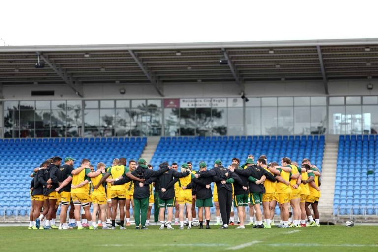 South Africa Springboks Training Session