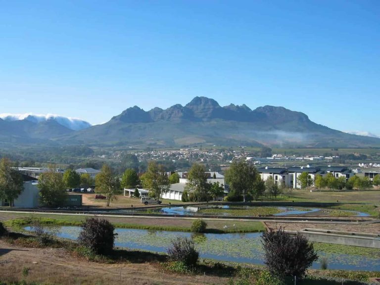 202509Stellenbosch-1