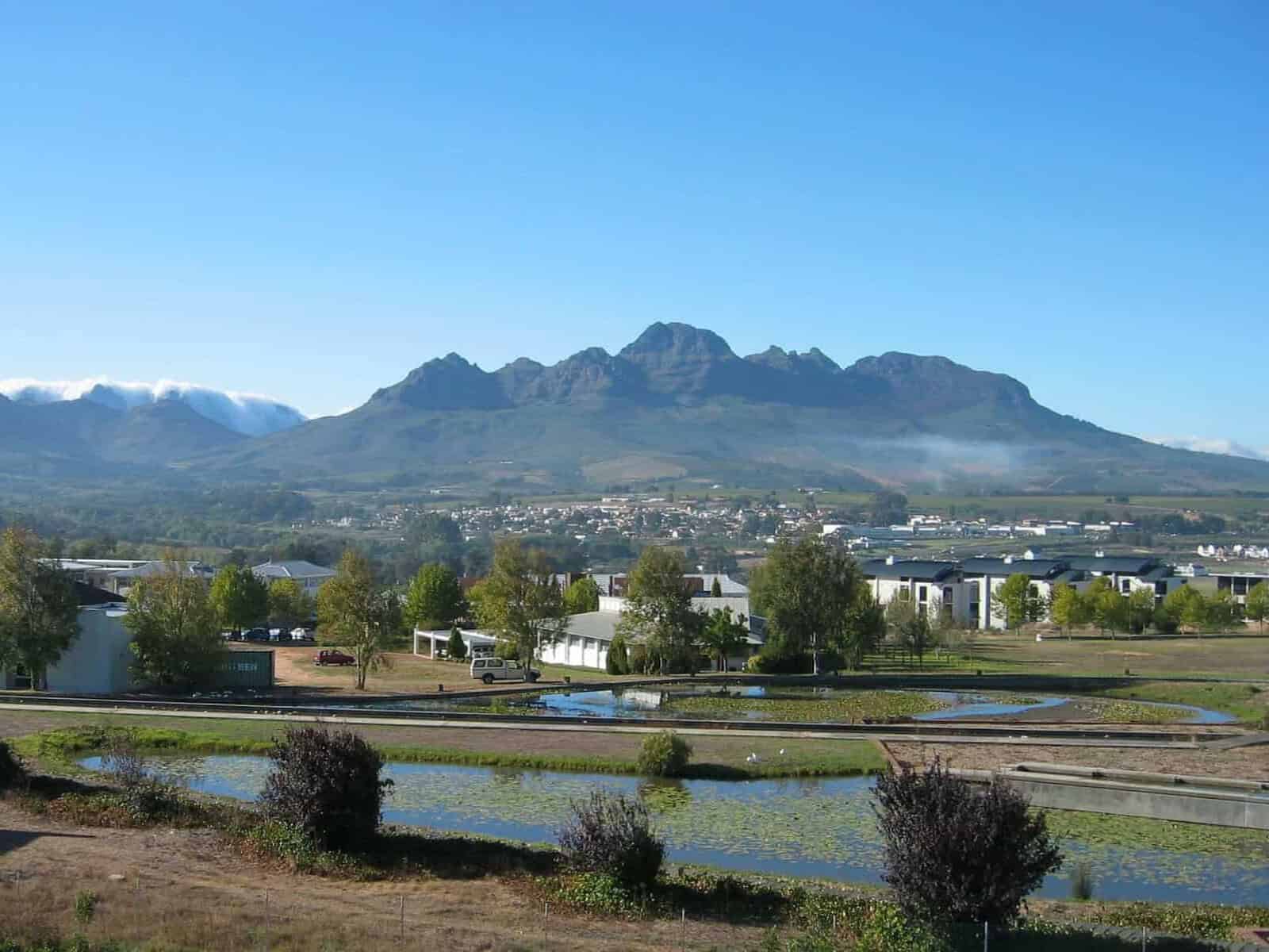 202509Stellenbosch-1
