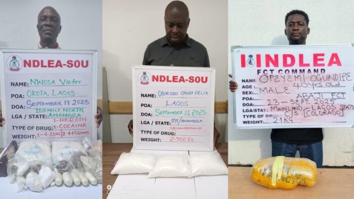 202509Victor-Nwosa-and-Felix-Obiegbu-have-been-arrested-by-the-National-Drug-Law-Enforcement-Agency-NDLEA-1