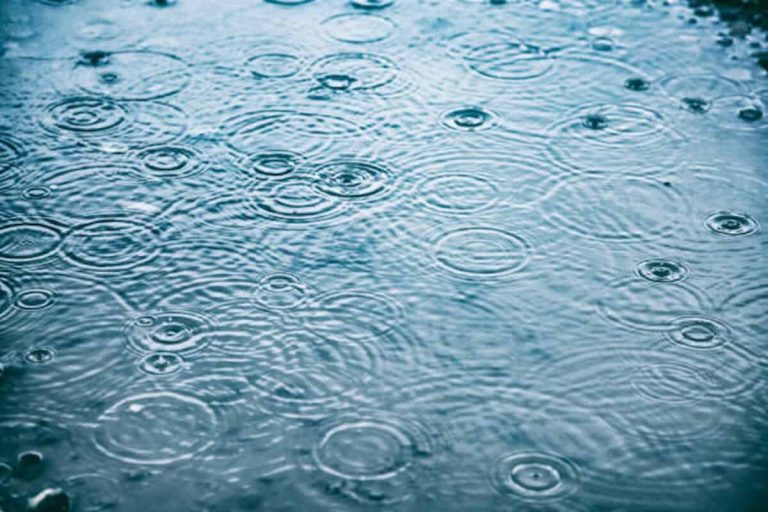 Rain drops on water