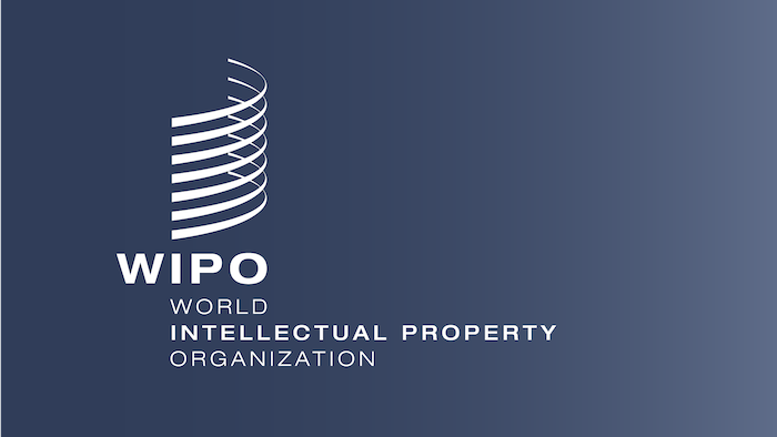202509World-Intellectual-Property-Organisation-WIPO