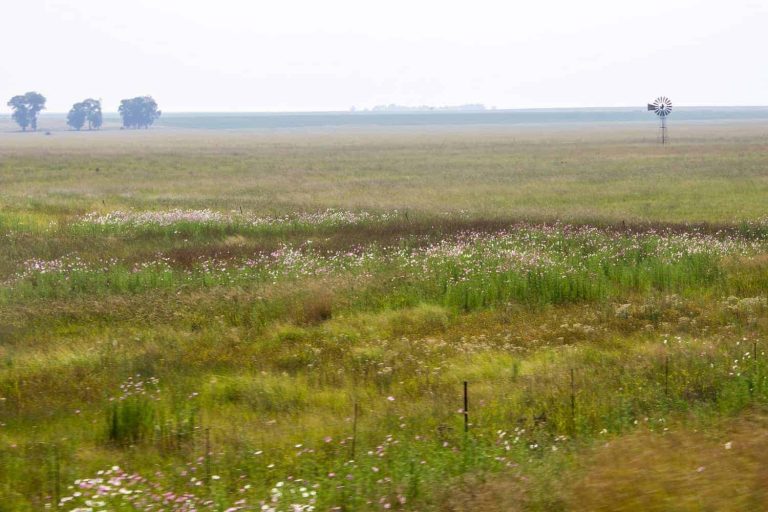 202509land-farm