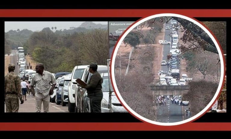 202509phalaborwa-gate-traffic-kruger-park
