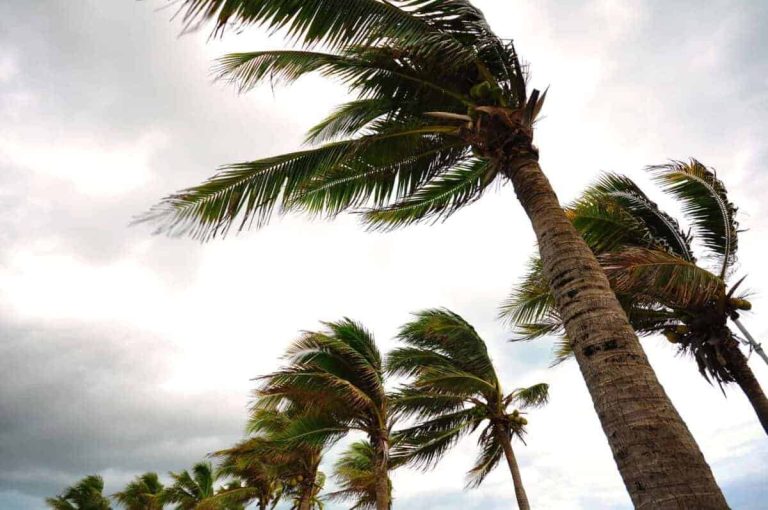 202509strong-winds-1200x797-1