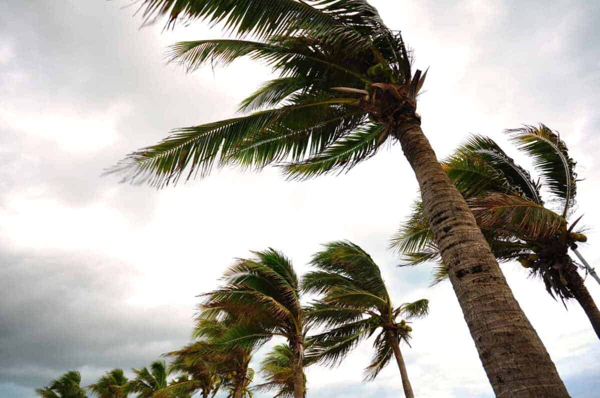 202509strong-winds-1200x797-1