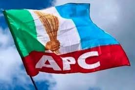 APC-Lagos-LG-polls