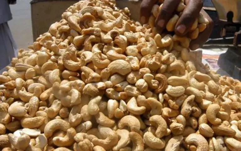 Cashew-Nuts
