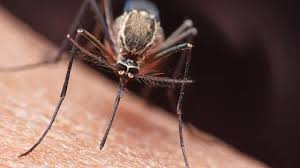 End-malaria-2030