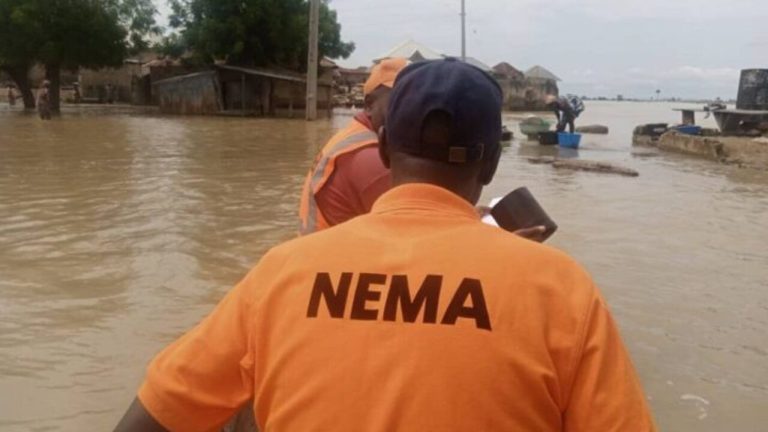 Flood-in-Niger-Nema-12