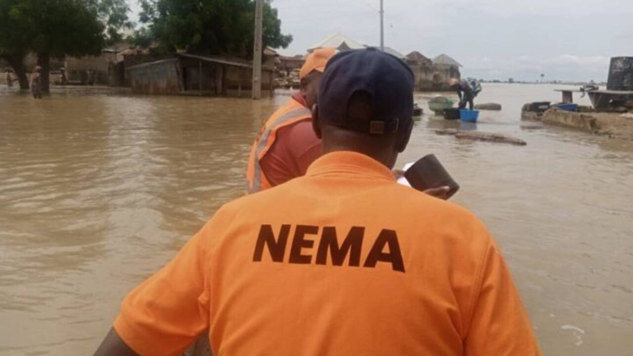 Flood-in-Niger-Nema-12