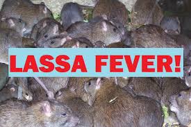 Lassa-Fever-6
