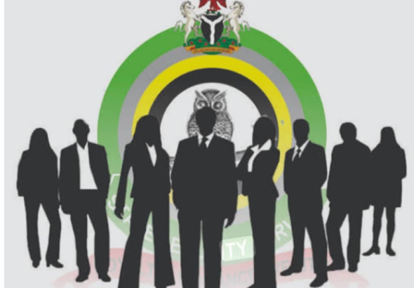 202505DSS-Logo