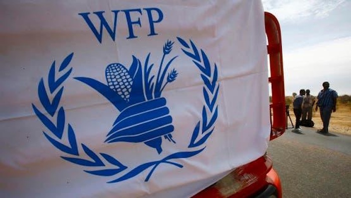 202507WFP