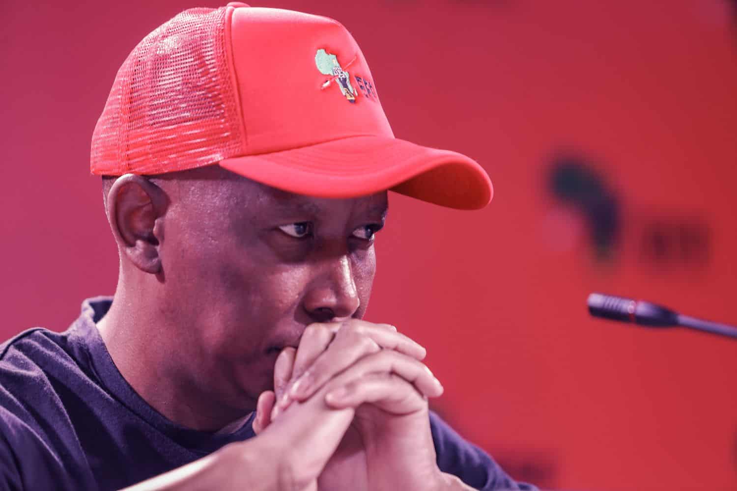 202508Malema-Mkhwanazi-ad-hoc-committee