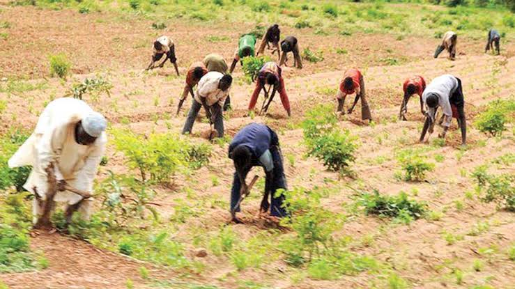 202509NSCDC-Army-Police-Foil-Repeated-Attacks-in-Plateau-Over-4000-Farmers-Displaced-1