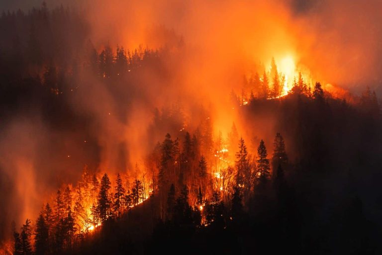 202509Severe-wildfire-threats-issued-for-these-three-provinces