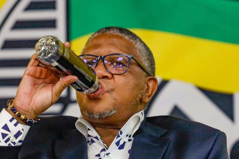 202510ANC-Mbalula-Mkhwanazi-Madlanga-commission-Ramaphosa