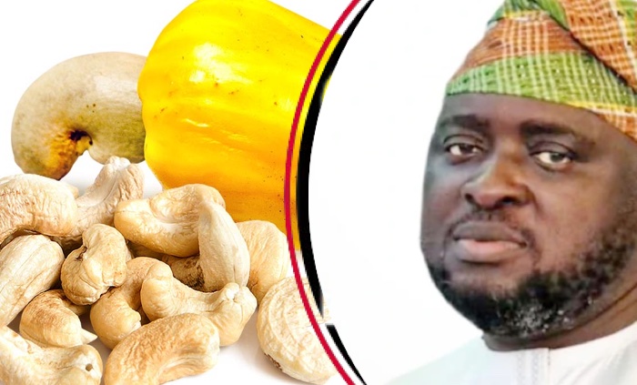202510Cashew-Vital-to-Nigerias-Non-Oil-Export-Economy-Says-Presidency