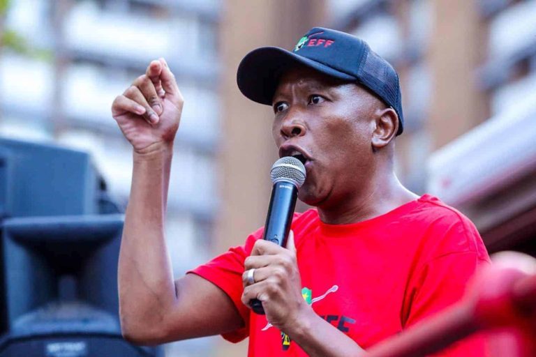 202510EFF-Malema