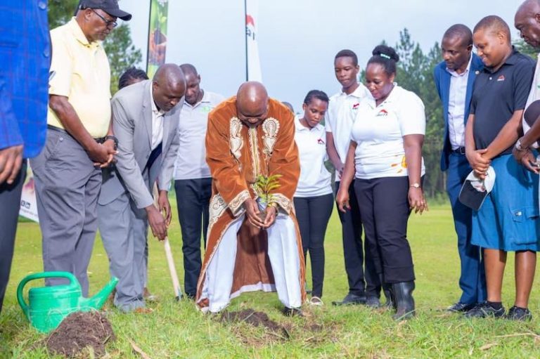 202510Equity-bank-plants-trees-in-Mbale