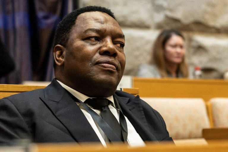 202510Fannie-Masemola-Mkhwanazi-ad-hoc-committee-Crime-Intelligence
