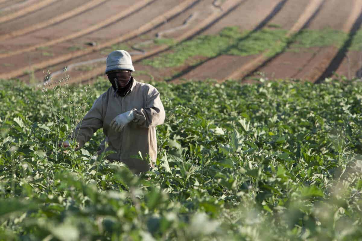 202510Farming