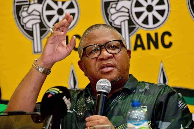 202510Fikile-Mbalula