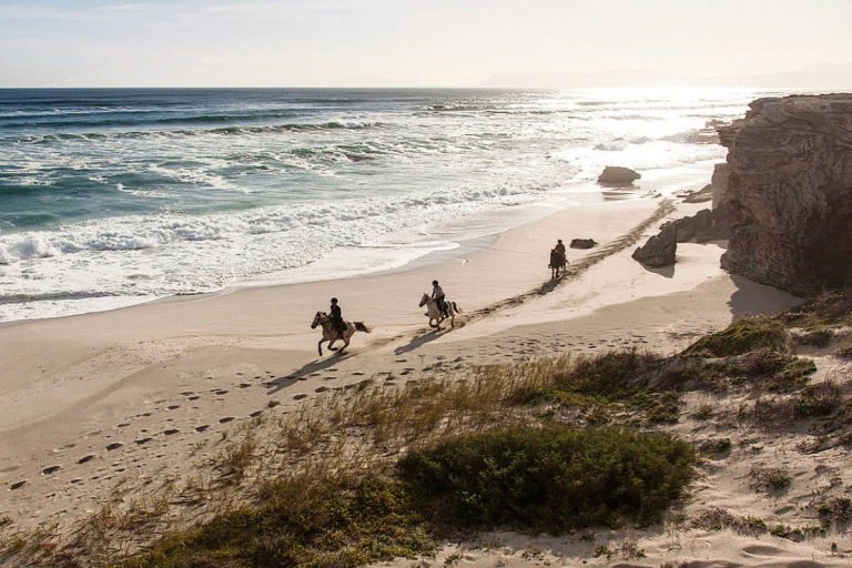 202510Grootbos-Nature-Reserve