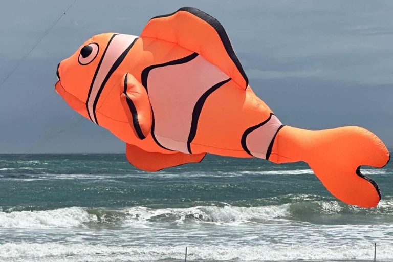 202510Kite-1