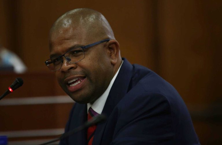 Montana testifies at parliamentary state capture inquiry