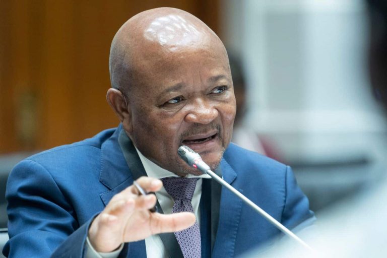 202510Mchunu-political-killings-task-team-ad-hoc-committee