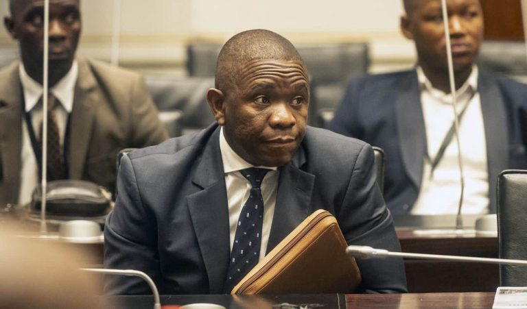 Lt Gen Nhlanhla Mkhwanazi Testifies Before Ad Hoc Committee Probing Police Corruption